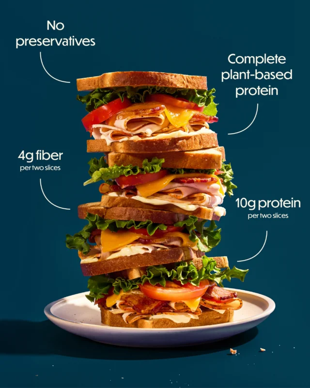 Anatomy of a sandwich infographic